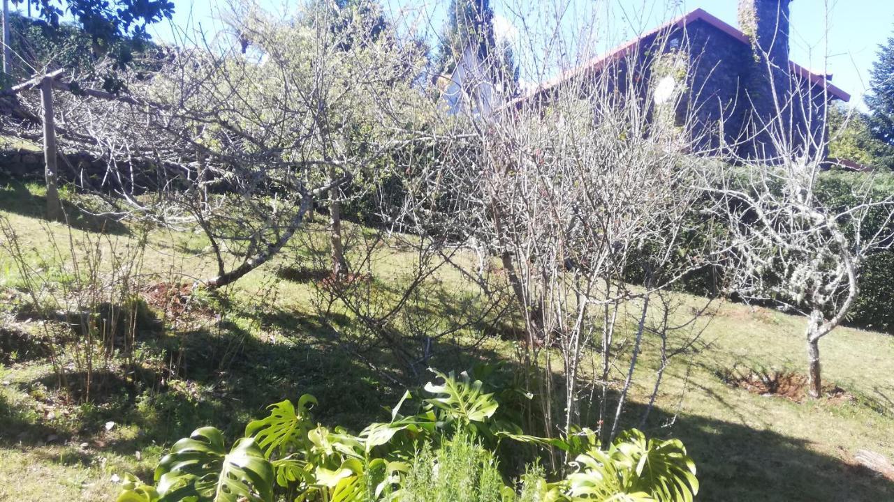 Chalet Pico Das Pedras Santana  Exteriér fotografie
