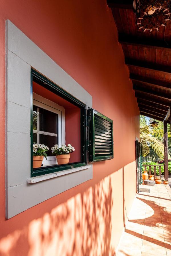 Chalet Pico Das Pedras Santana  Exteriér fotografie
